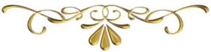 Logo Bottom Events by Sachin